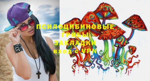 шишки Абаза