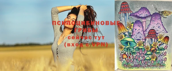 экстази Алексеевка