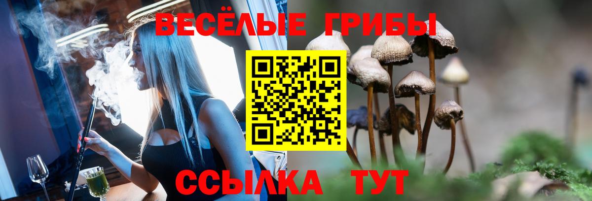 Галлюциногенные грибы мухоморы  Вход с VPN  Черемхово  Галлюциногенные грибы мухоморы 